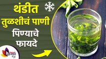 थंडीत तुळशीचं पाणी पिण्याचे फायदे | Benefits of Drinking Tulsi Water in Morning | Winter Health Care