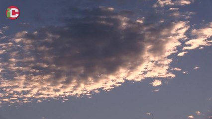 Los técnicos de la Liguilla