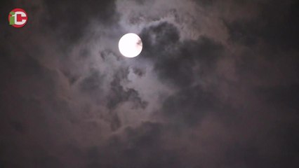 Las posibilidades de las Águilas