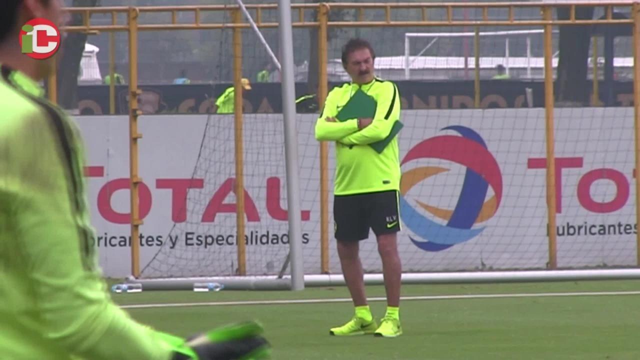 En el nido ya están todos sano