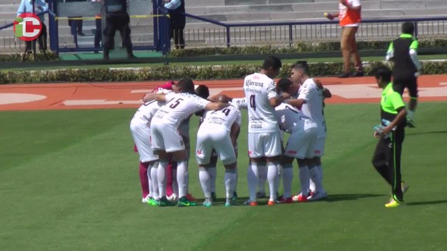 El peligro de los Jaguares de Chiapas