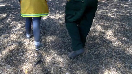 DESPUES DE LAS LLAMAS SERIE COMPLETO.mp4