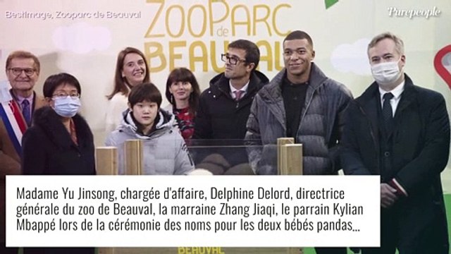 Kylian Mbappé avec des bébés pandas : photos de la rencontre improbable (et adorable!)