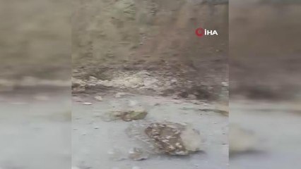 Deprem sonrası düşen kayalar yolu trafiğe kapattı