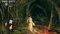 Dark Souls Remastered - #28 dlc Artorias del Abismo Boss Guardián del Santuario - canalrol 2021