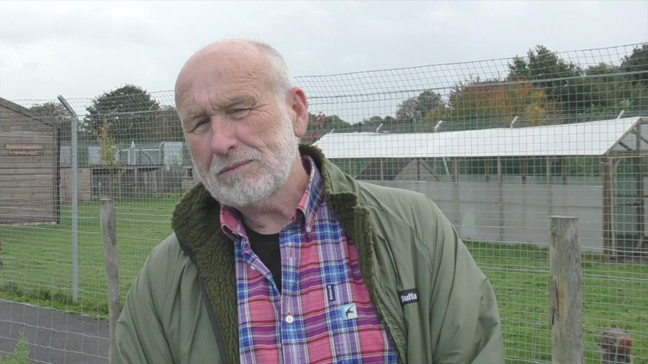 Strood school conservation project (raw interviews)