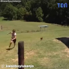 Il se fait courser par une poule