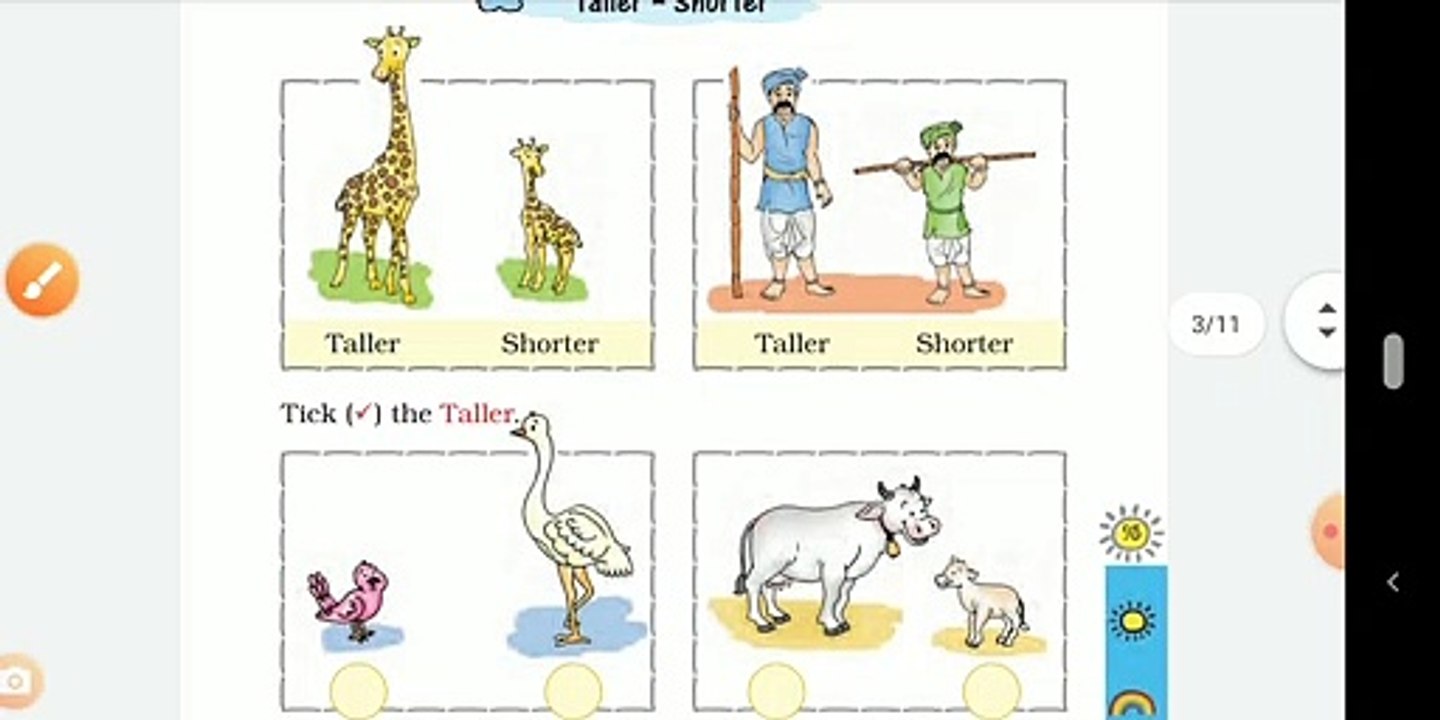 unit 7 NCERT Solutions for Class 1 Maths Chapter 7 Measurement