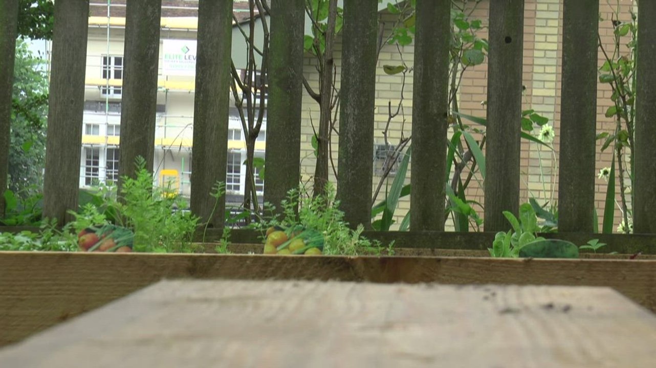 Tunbridge Wells charity open new garden to impr...