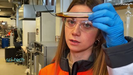 Empresa finlandesa que desenvolve materiais biodegradáveis vence Prémio Radar da Inovação