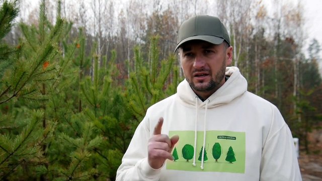 Un milliard d'arbres en trois ans : le rêve boisé de l'Ukraine