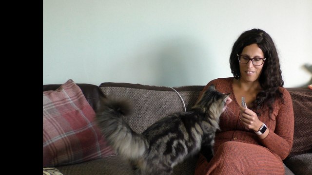 Canterbury couple share their despair after being scammed out of hundreds of pounds