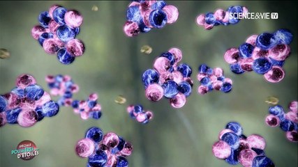 Documentaire  La vie d'une étoile-Les naines blanches