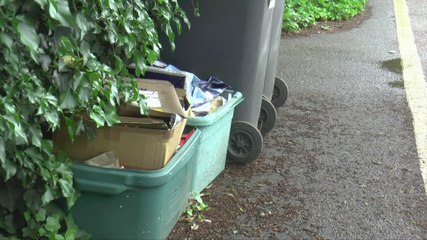 Tonbridge and Malling residents furious at overflowing bins