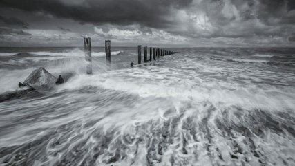 Rochester photographer gets up close and personal with Kent's wildlife