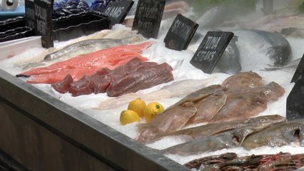 Fishermen in Kent fear their fleet could become extinct because of Brexit