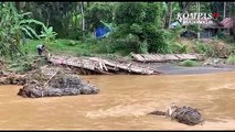 Disapu Banjir, Jembatan Darurat Desa Alat Hantakan Lenyap Terbawa Arus Sungai yang Meluap