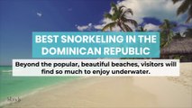 Best Snorkeling in the Dominican Republic