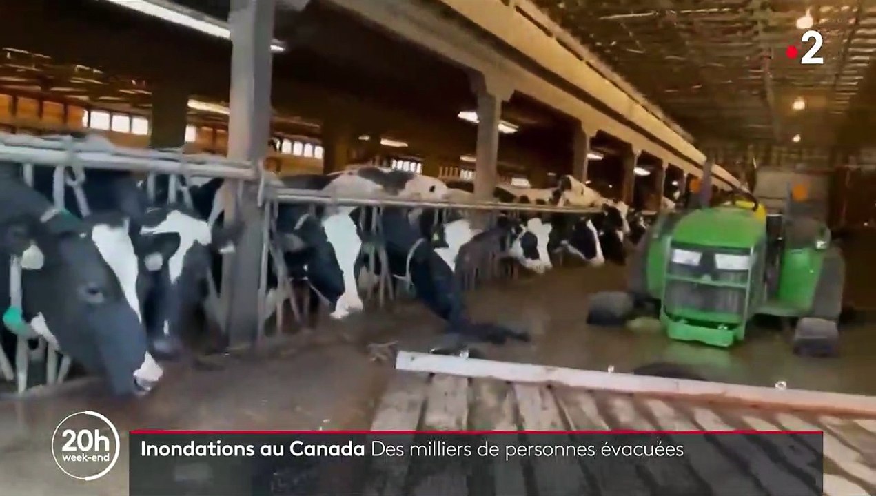 Canada : pluies torrentielles et inondations en Colombie-Britannique, des milliers de personnes évacuées