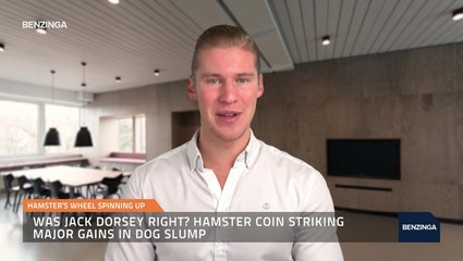 Hamster Coin Striking Major Gains in Dog Slump