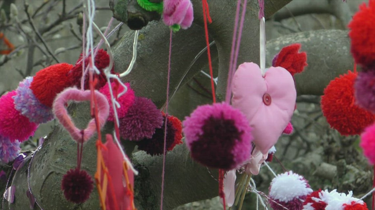 Faversham Grandmother makes 'Tree of Hope' in her front garden