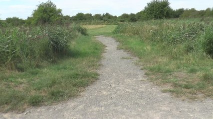 Fears that London resort plans could devastate the natural habitats in Swanscombe