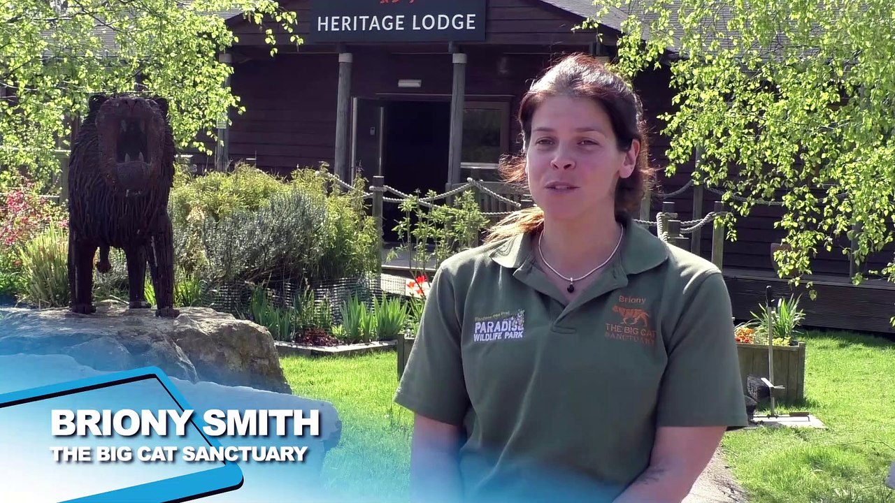 Kent's Big Cat Sanctuary speaks out after being wrongly associated with huge Netflix documentary