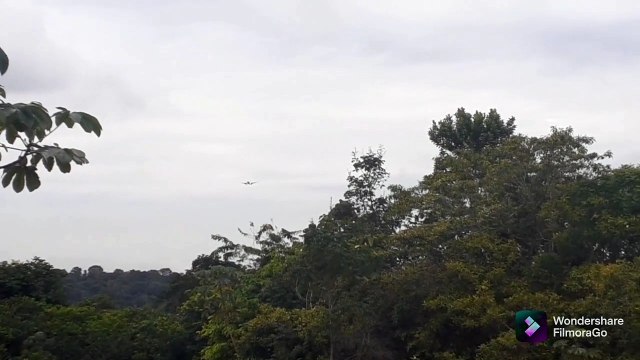 Airbus A321 PT-MXQ, Boeing 737-800 PR-GUH e Boeing 737 MAX 8 PR-XMP