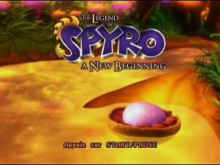 The Legend of Spyro: A New Beginning online multiplayer - ngc