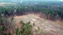 فيديو: أوكرانيا تخطط لزراعة مليار شجرة في السنوات الثلاث المقبلة