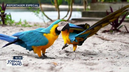 Especialistas em viagens dão dicas para facilitar a experiência dos turistas.