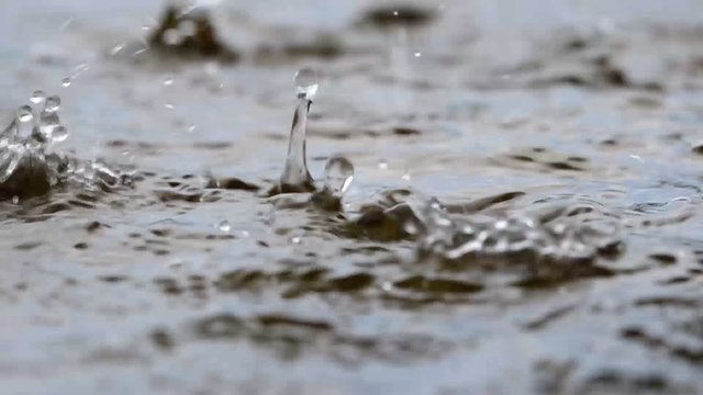 Green campaigners say Kent could be underwater by 2050