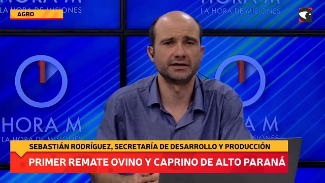 Primer remate ovino y caprino de Alto Paraná