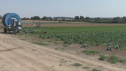 Kent farmers call on new PM to take no deal Brexit off the table