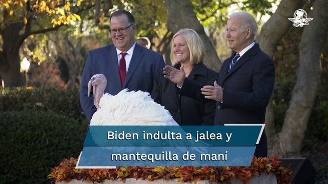 Tras someterse a una cirugía, Biden indulta a dos pavos días antes de Acción de Gracias
