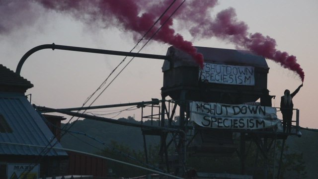 Protesters film themselves at Tunbridge Wells slaughterhouse
