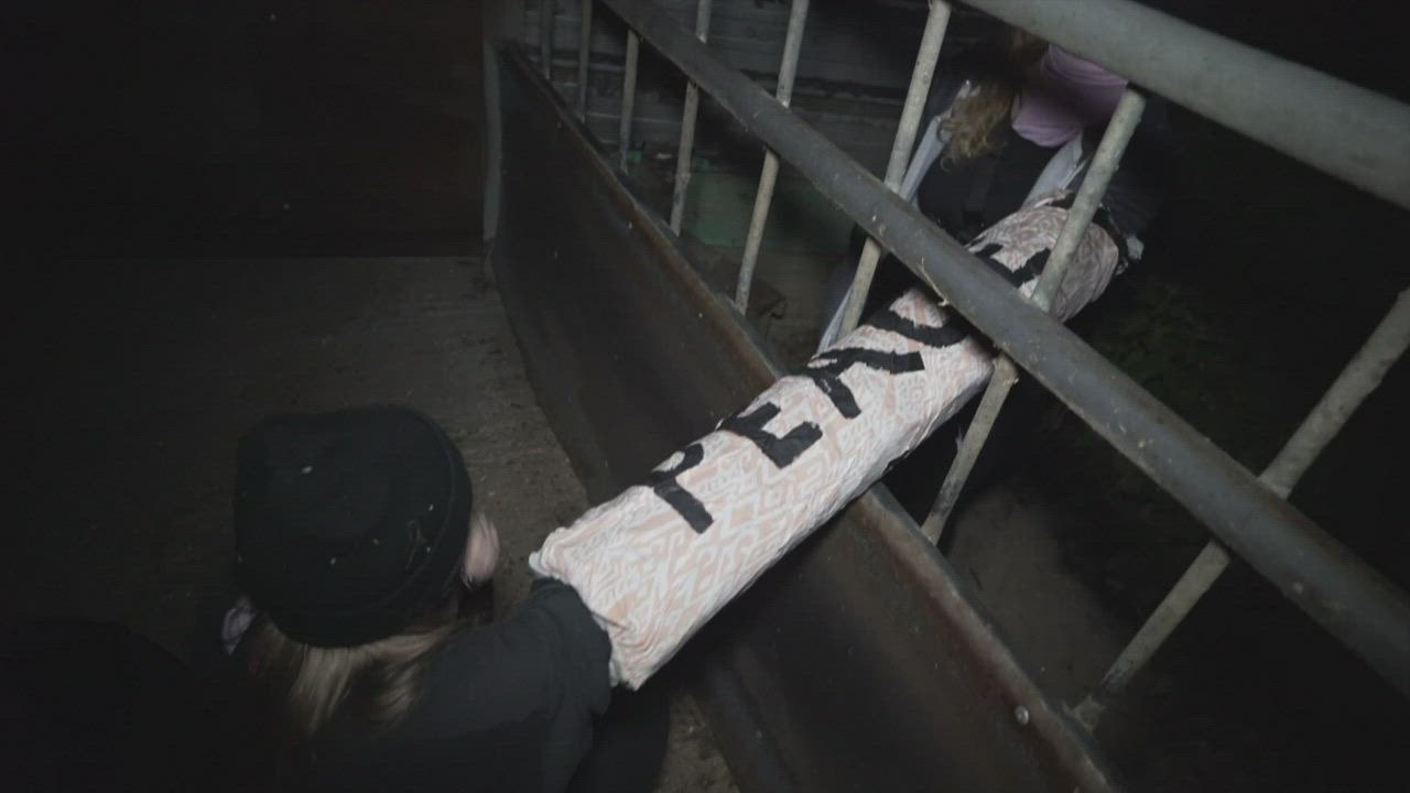 Activists storm Forge Farm Meats slaughterhouse in Southborough