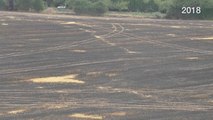 Kent farmers fear heatwave may bring more field fires