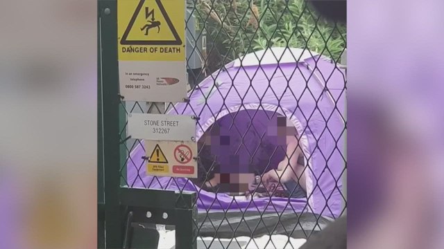 Video appears to show two people in a tent injecting themselves