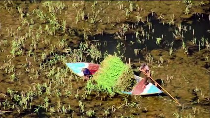 ...الاميركية . وفي وقت احتدام التنافس الدول...