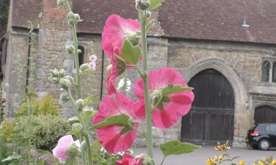 Campaign launched to save West Malling green space