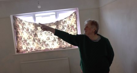 Worried pensioner and dog left ill due to mouldy house