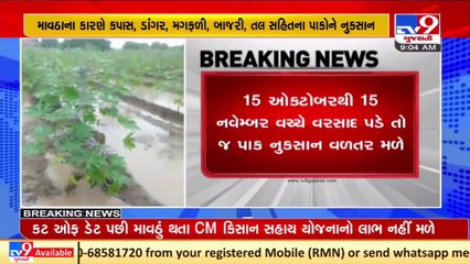 Unseasonal rains in Gujarat_ Farmers won't get benefit of CM-Kisan Sahay Yojana due to cut-off date
