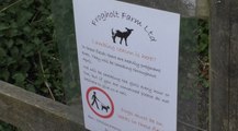 Freedom of information request shows shocking numbers of dog attacks at farms in Kent