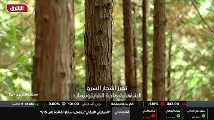 ...لكن لا بأس ،...