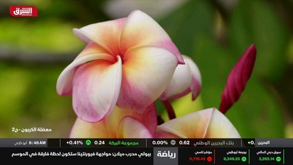 ...كيف كان ذلك ؟ أن شعورا جيدا جدا ....