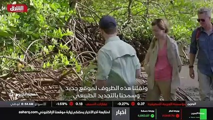 ...تنفس الجذور كما نتنفس و تتنفس النباتات ع...