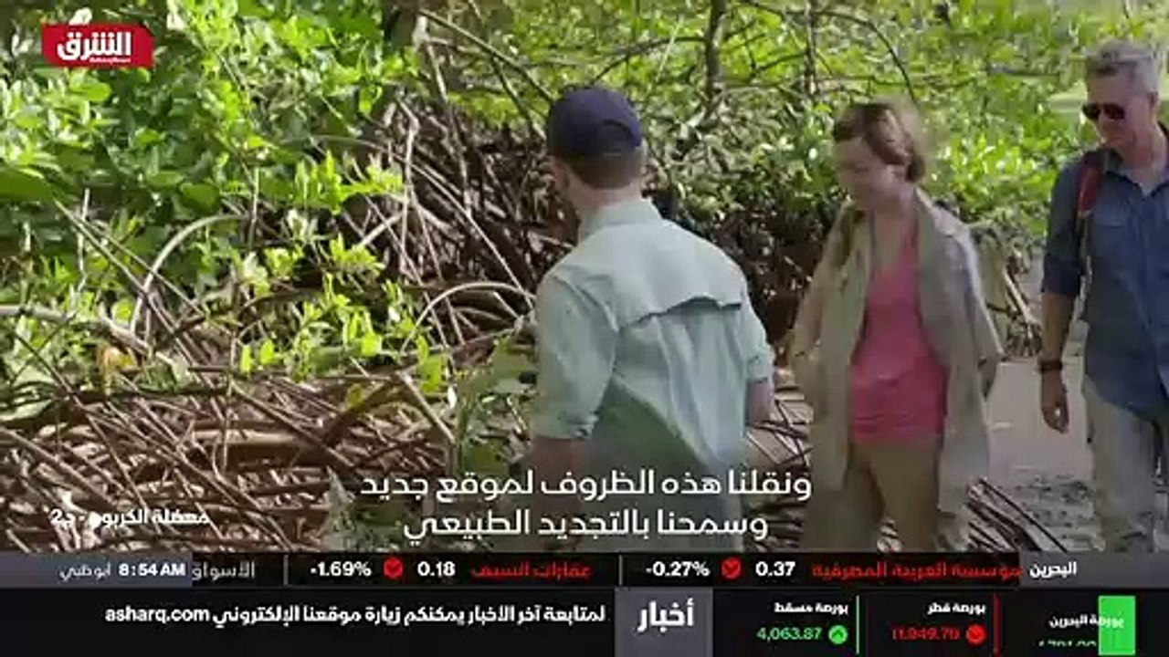 ...تنفس الجذور كما نتنفس و تتنفس النباتات ع...
