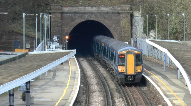 Rail companies join forces to reduce train disruption caused by leaves on tracks