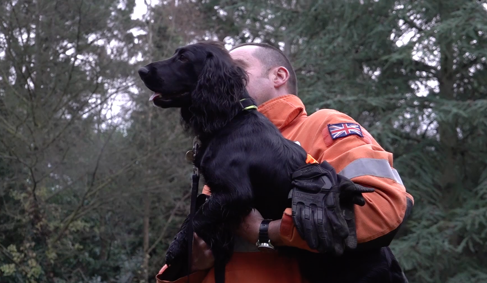 Kent Fire and Rescue Service's latest recruit, Buzz the cocker spaniel ...